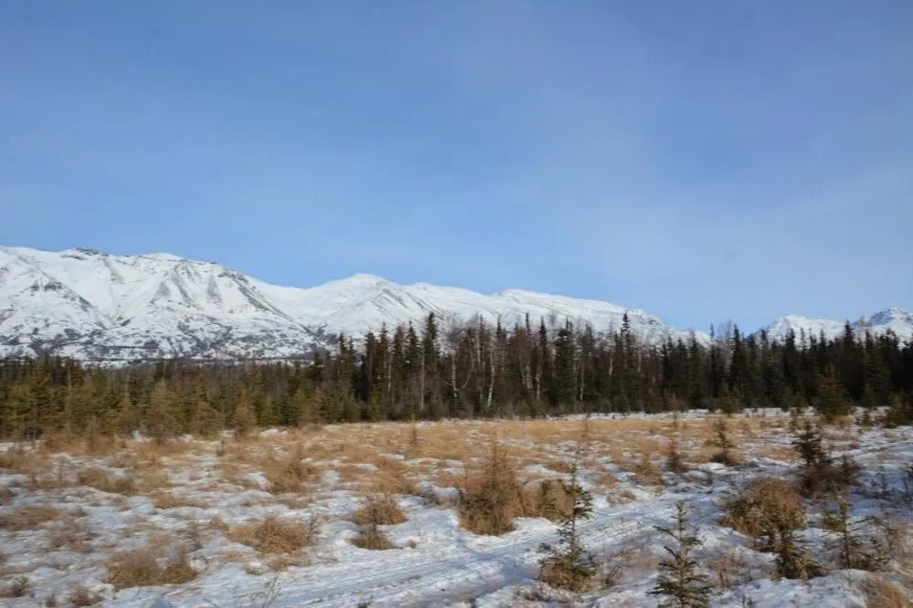 Moose Wallow Cabins