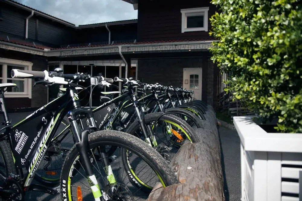 Eriksgårdens Fjällhotell