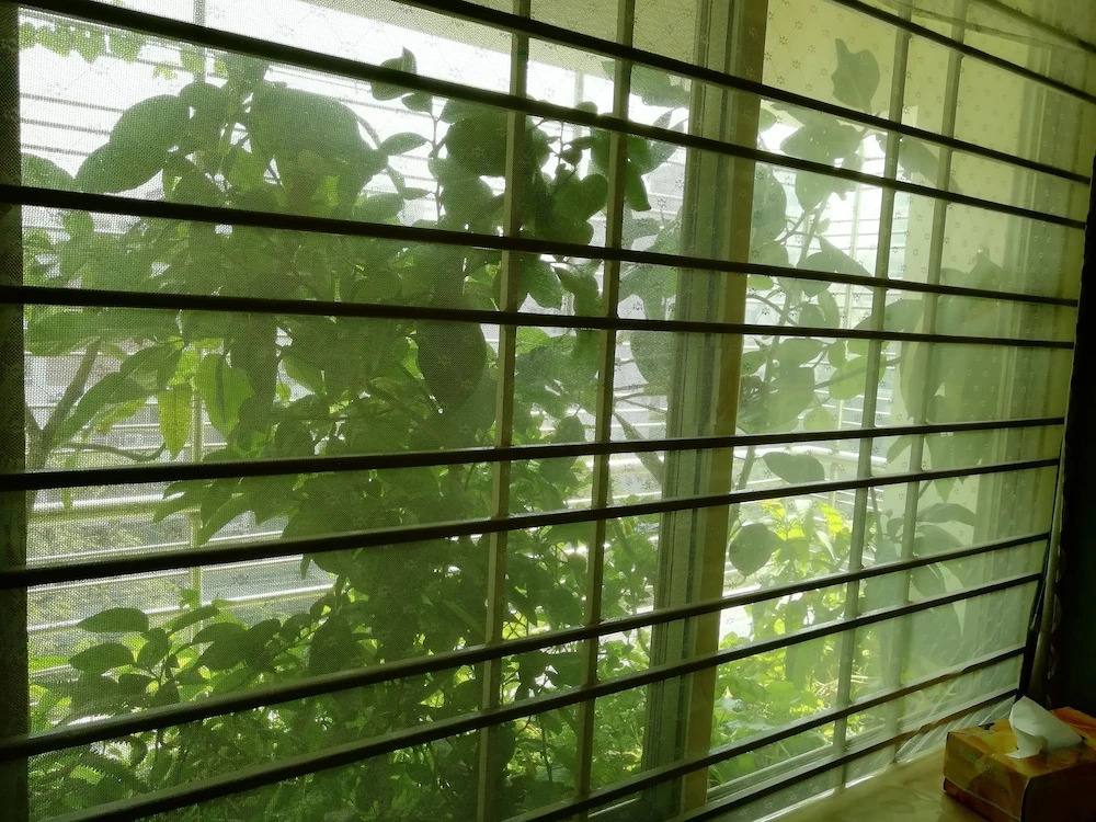 Sabrina's Home - Hostel