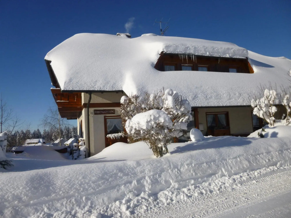 Cosy apartment with balcony in the beautiful Black Forest