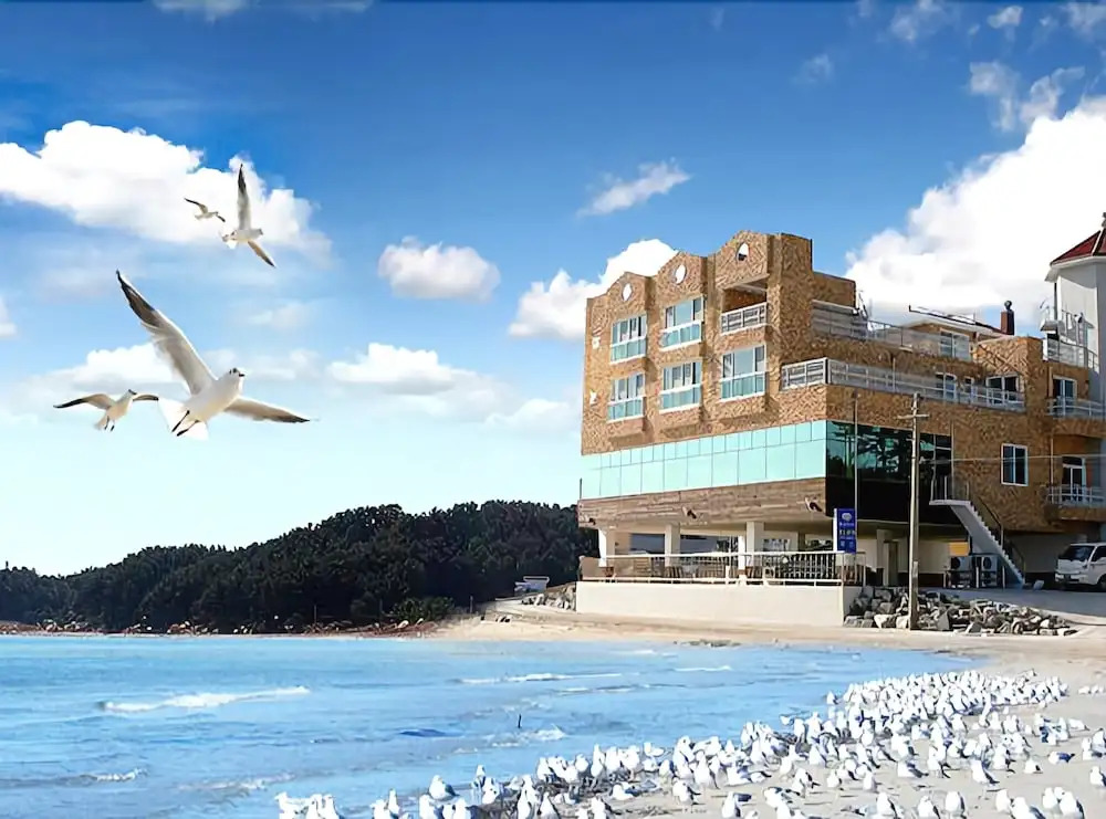 Pohang Venezia Pension