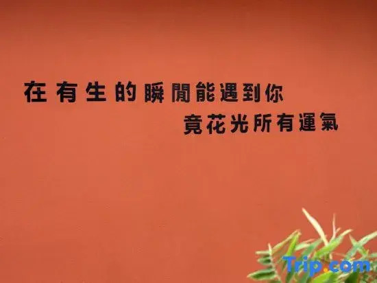 Jingdezhen Star Porcelain · Yishe Homestay (Tao Xichuan Cultural and Creative Block Store)