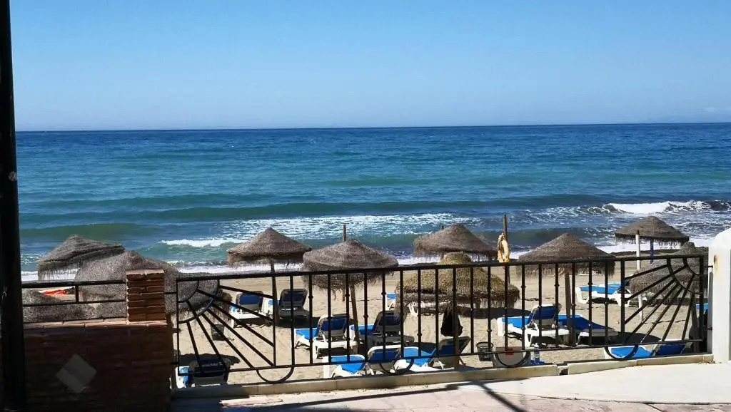 Skol 318C by Completely Marbella