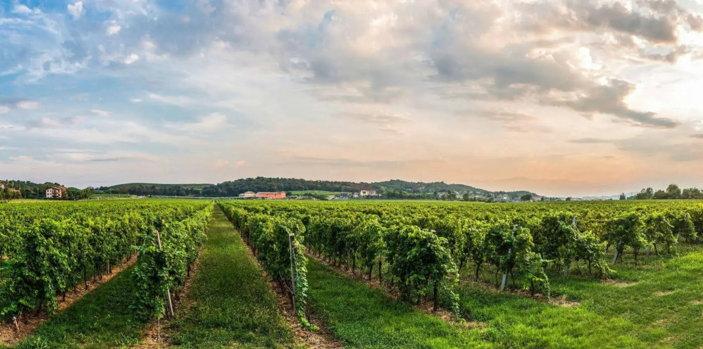 Tenuta La Presa