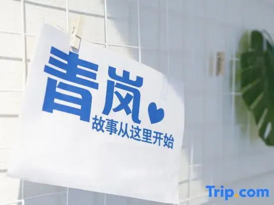 Qinglan International Youth Hostel (Zhengyifang Shopping Center)
