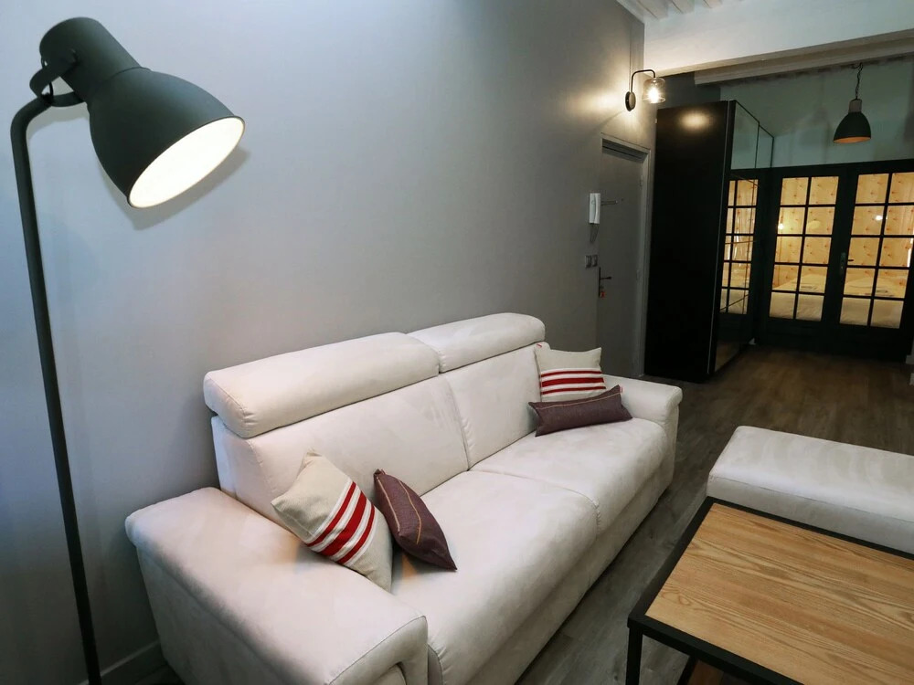 Annecy downtown 55 m2 Apart with big terrace