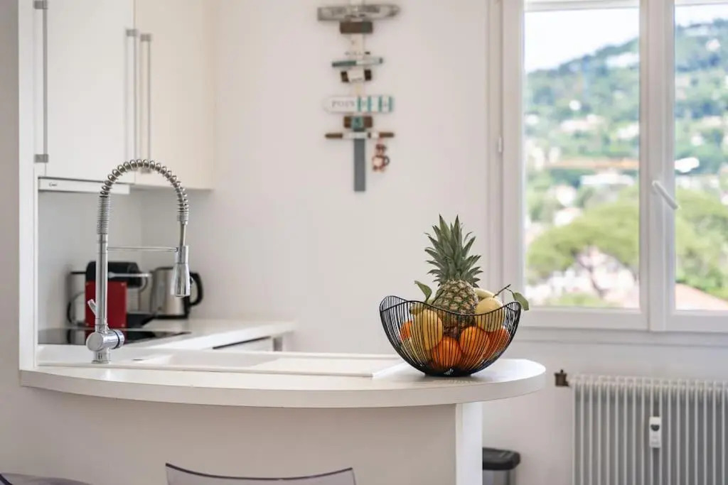 Apartment Suite Gallia