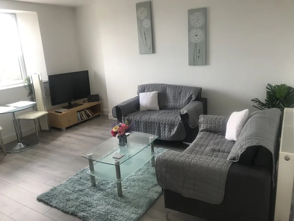 Luxury City Apartment