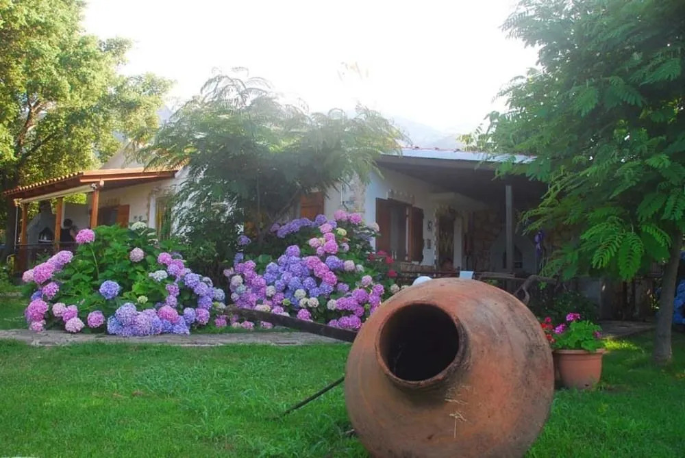 Alekas Studios