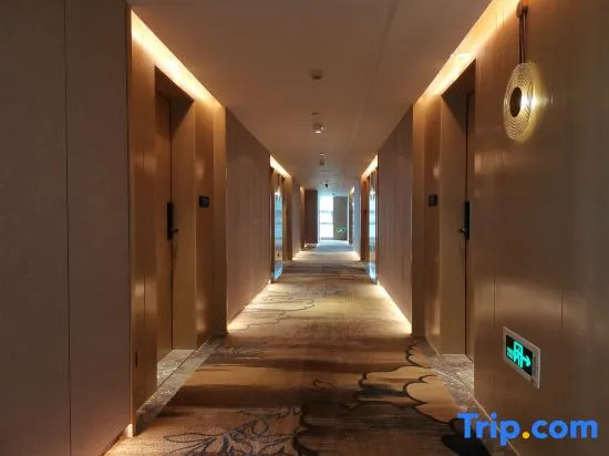 TrueGo Hotel(ShenZhen FutianPort Convention and Exhibition X Center)