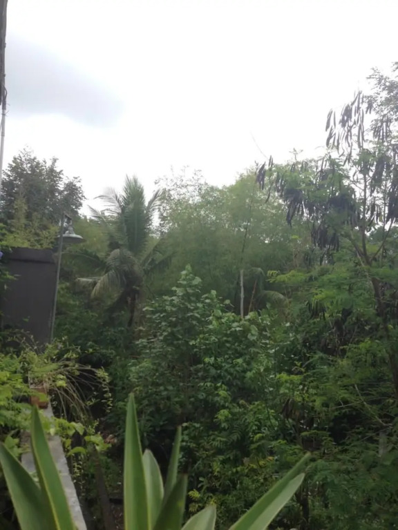 Cebluk Sari Homestay