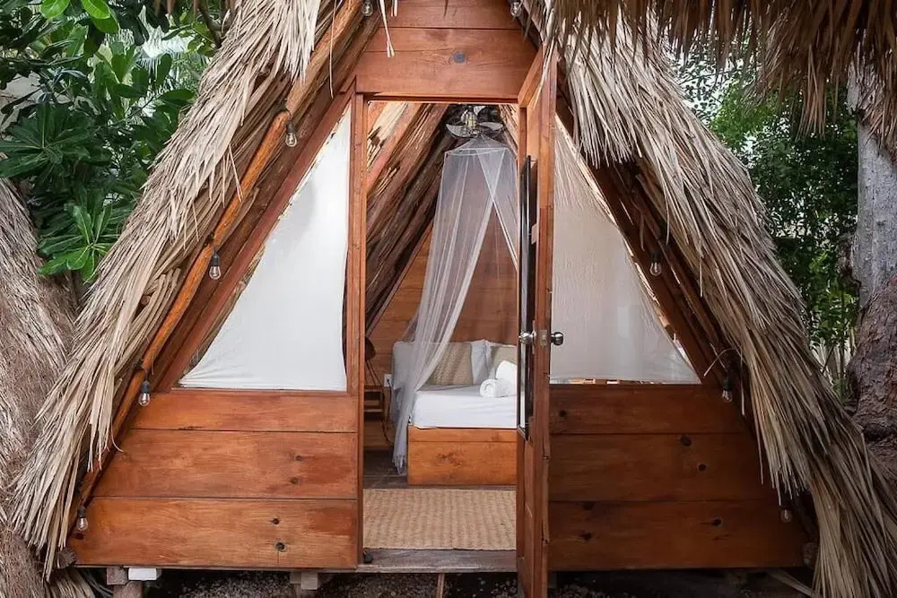 Mapache Hostel & Camping