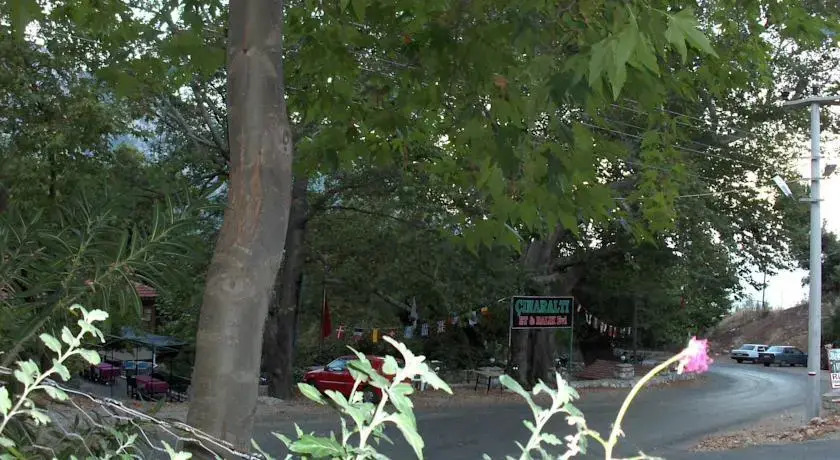 Cinaraltı Pansiyon
