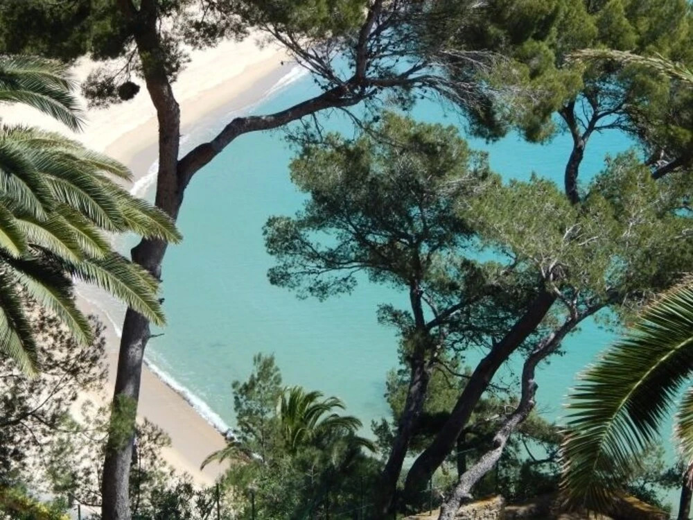 Eden Mar VI
