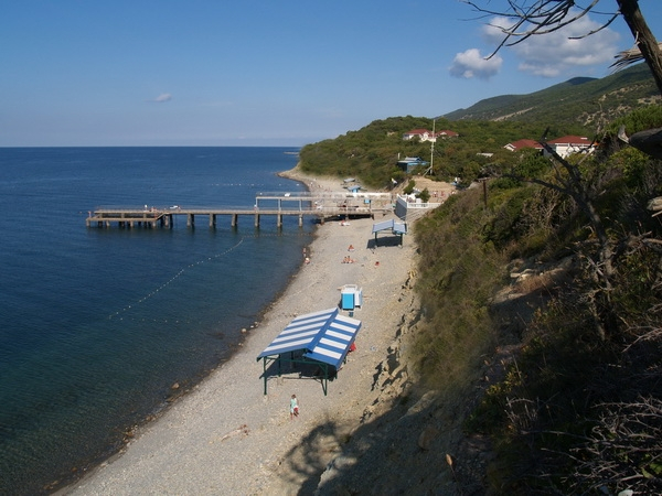Morjak