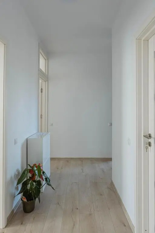 Solomon Apartments Ap 4