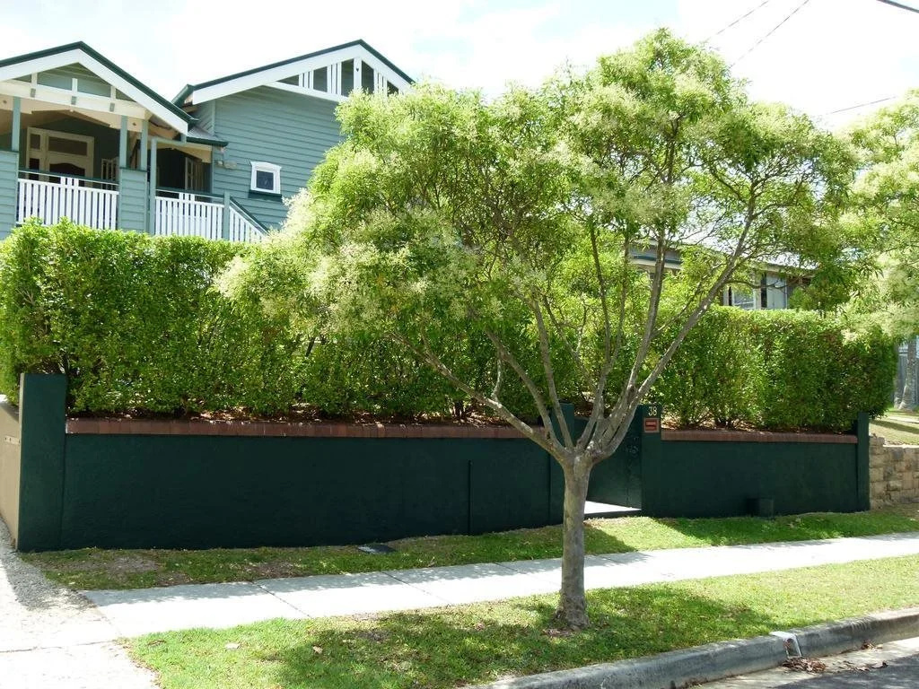 Number 38 Wilston Village