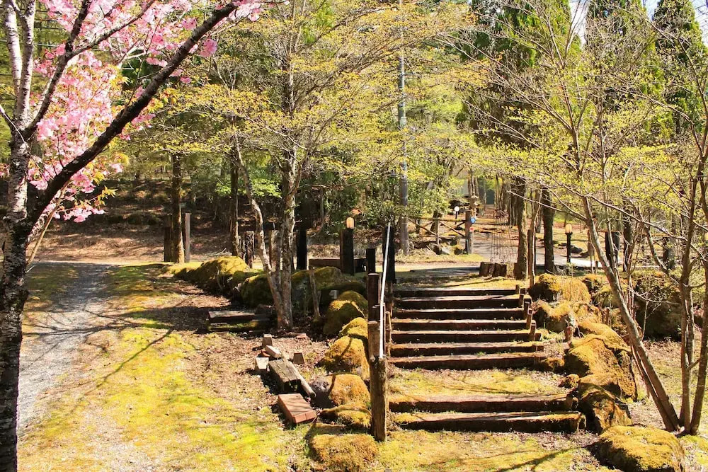 SinoYado Niji - Hostel
