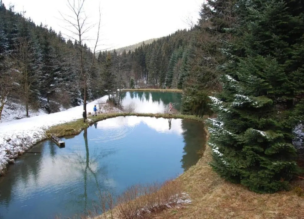 Ruckzugsort am Teich in Winterberg