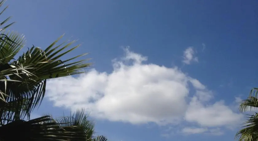 Villa Marbella - Estepona