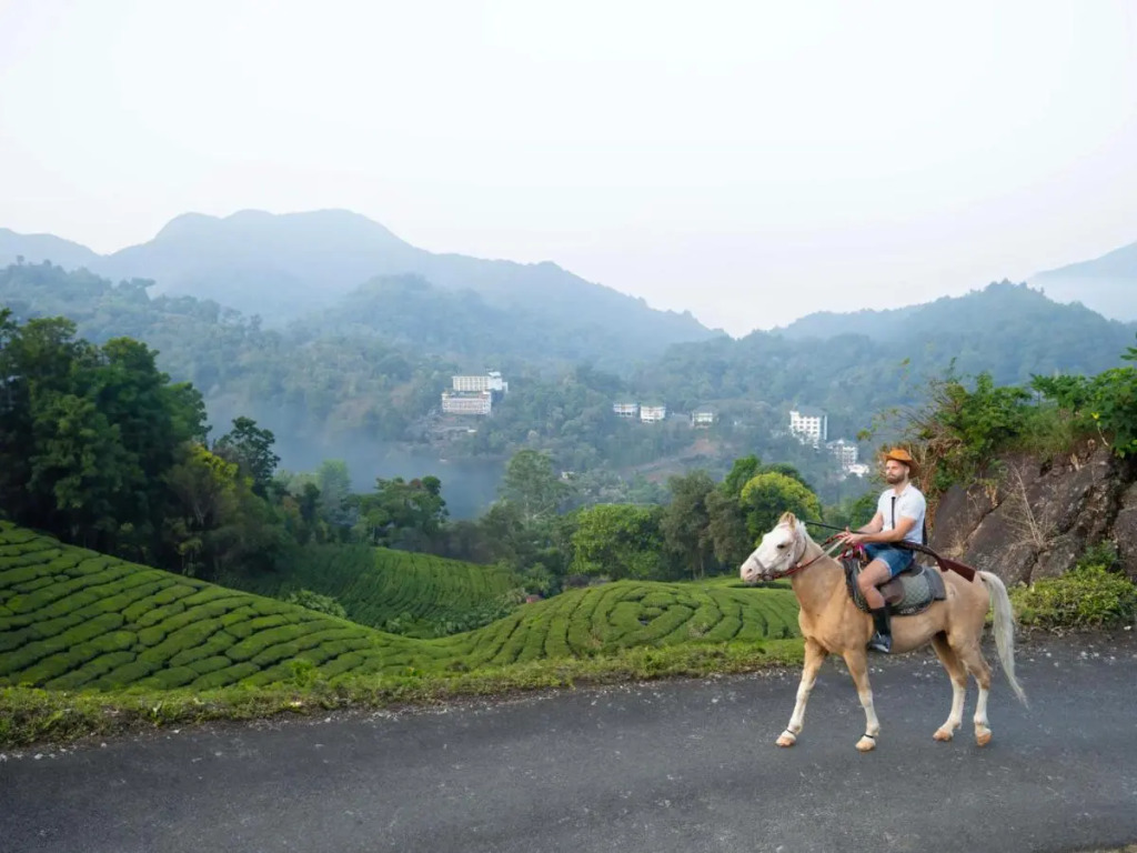 The Grand Cliff Resort Munnar