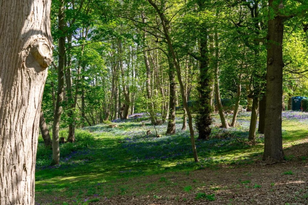 Milsoms Kesgrave Hall