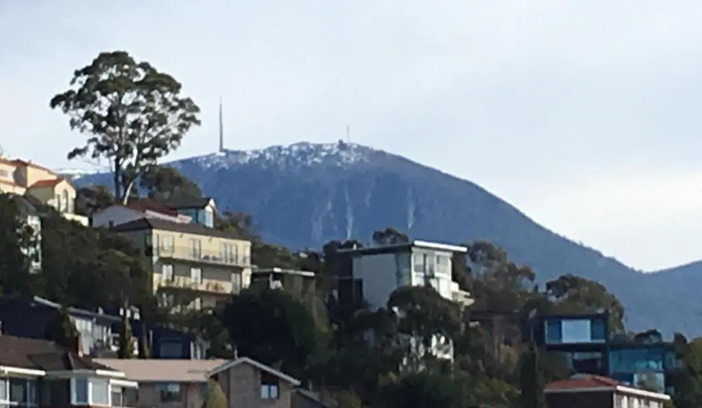 The Lookout