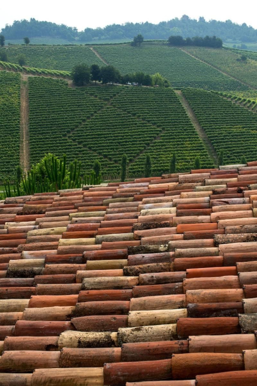 Relais di Tenuta Santa Caterina B&B