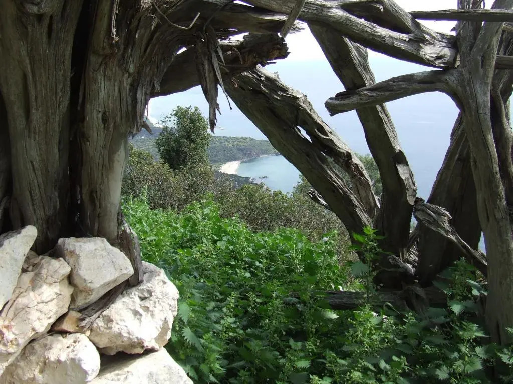 Camera a Dorgali al B&B Sa Madalena