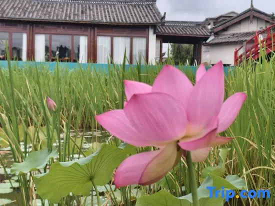 Yun Shang Yi Ju Spring Resort