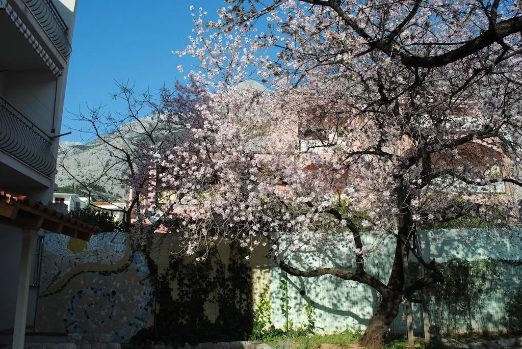 Apartments Natura Makarska