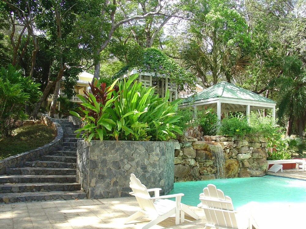 Lemon Tree House