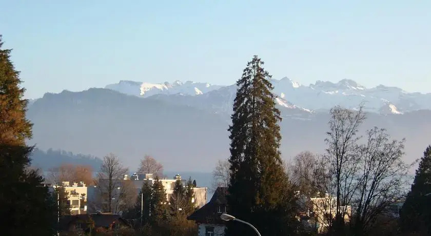 Brunnhalde