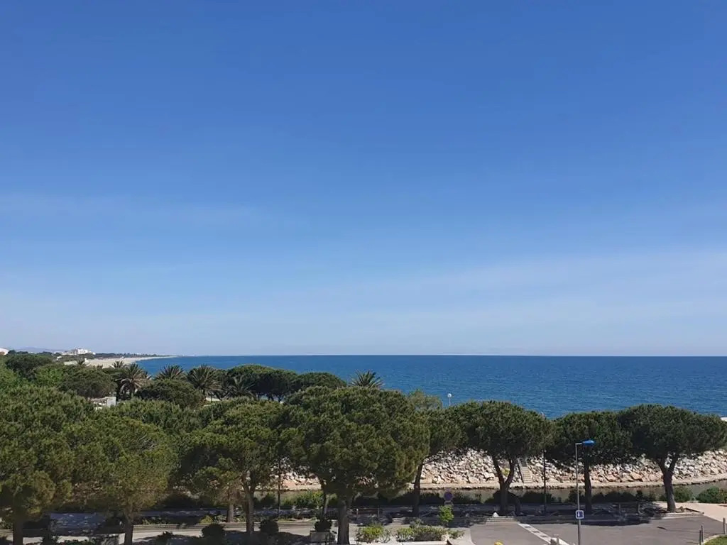 Appartement Argelès-sur-Mer, 3 pièces, 6 personnes - FR-1-388-187