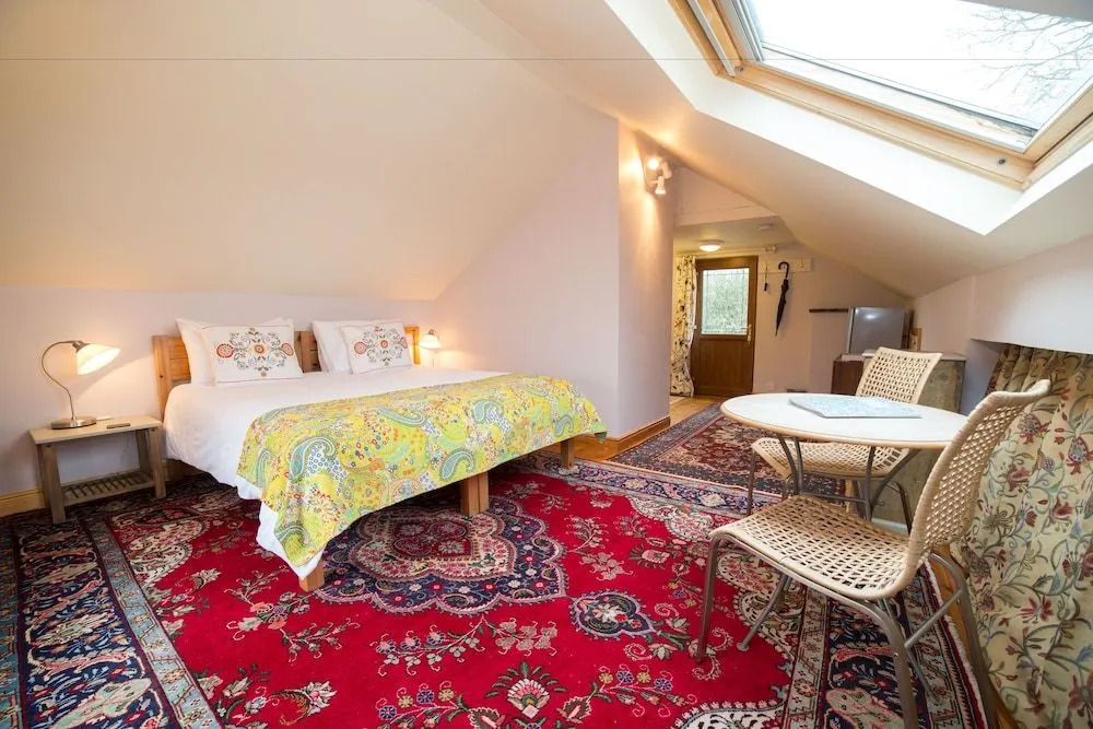 Brush and Boot B&B