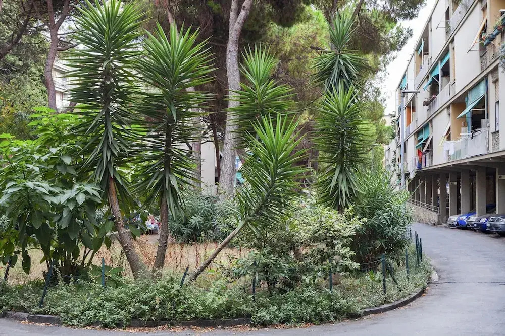La Casa di Lorenzo by Wonderful Italy