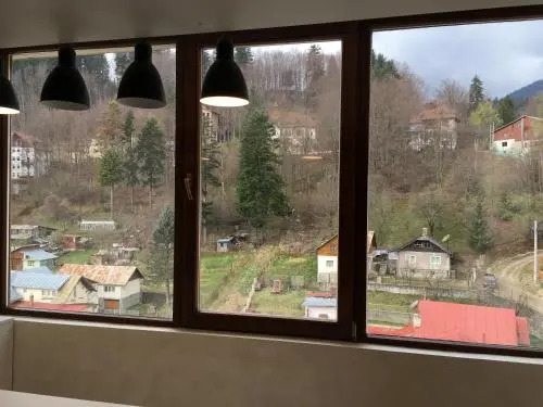 Sinaia view