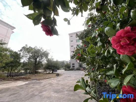 Jauntyo International Hotel