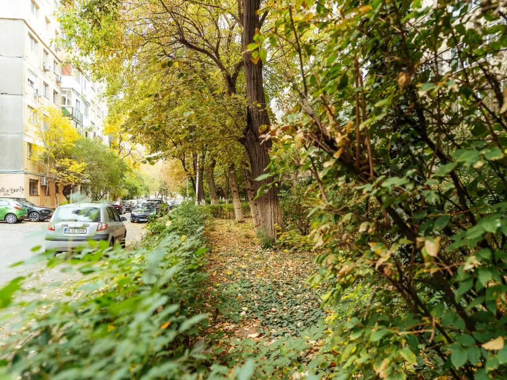 Woody - Cozy and Quiet Place near Moghioros Park