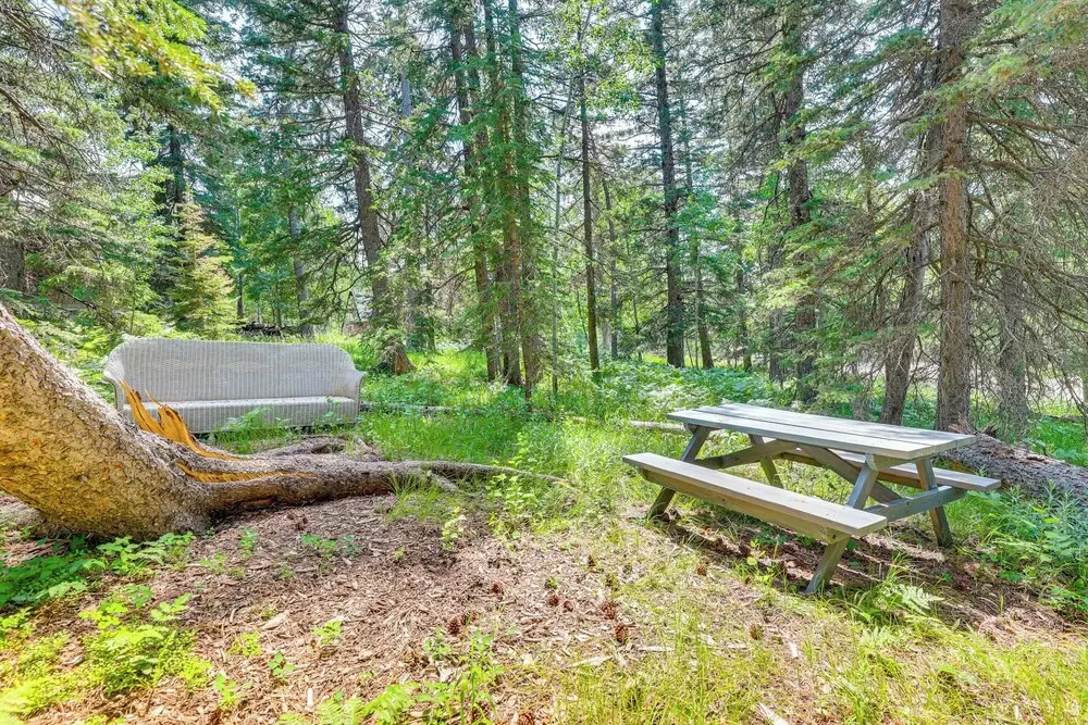 Scenic Lead Cabin: Steps to Terry Peak Ski Area!