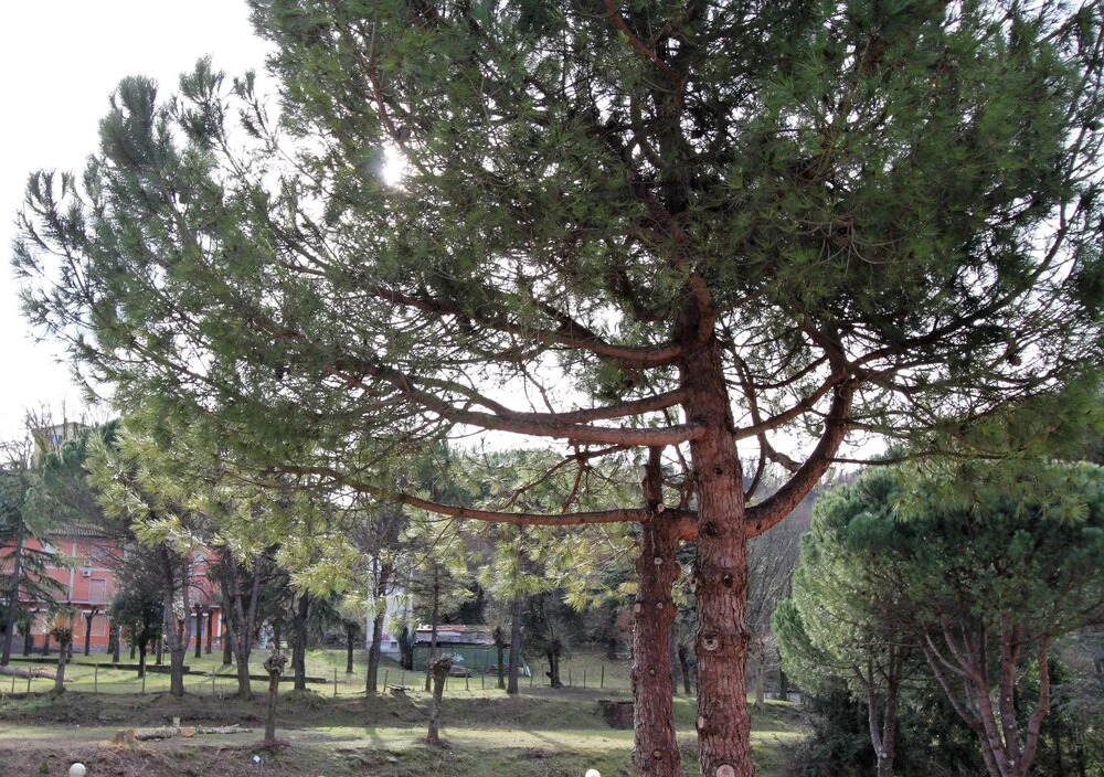 Apparamento Al Valico della Foce