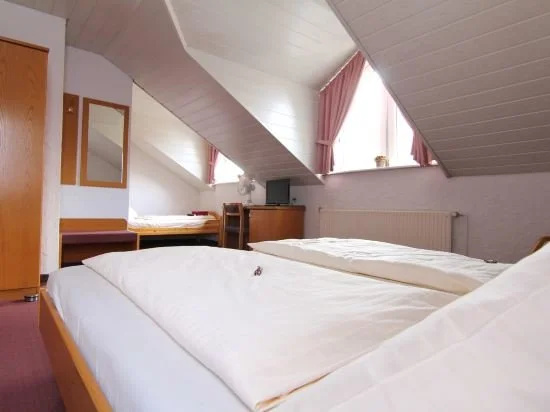 Hotel am Neckar