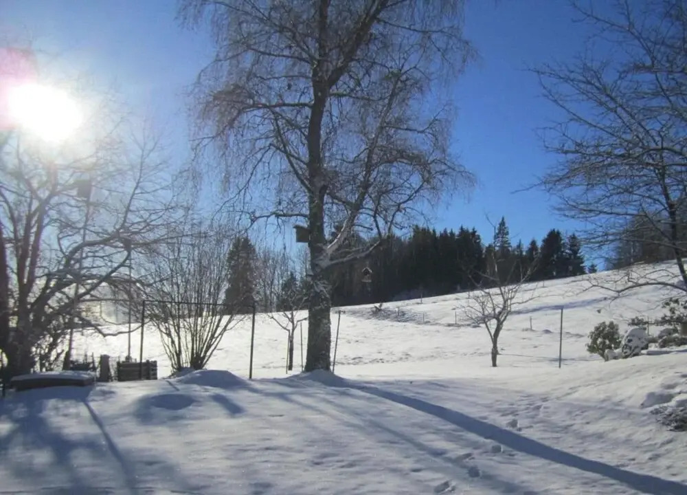 Ferienwohnung im Schwarzwald mit Garten
