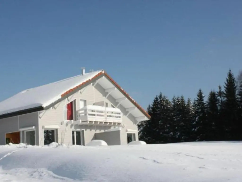 Gîte neuf au calme près de Gérardmer avec terrasse et balades en forêt - FR-1-589-217