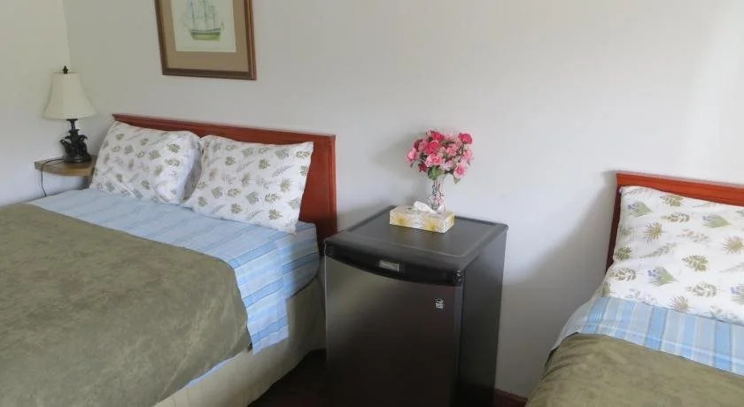 Dolphin Motel