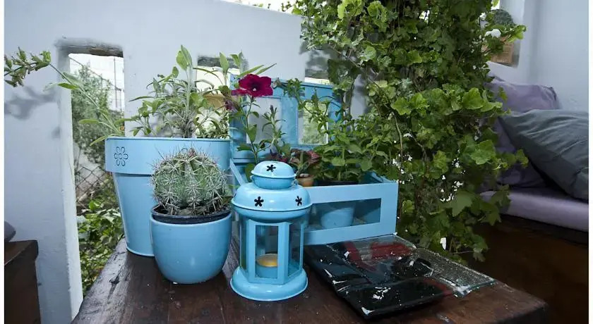 Apartment BonBon