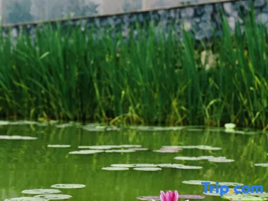 Yun Shang Yi Ju Spring Resort