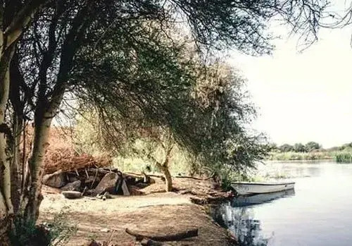 Nuba Narty