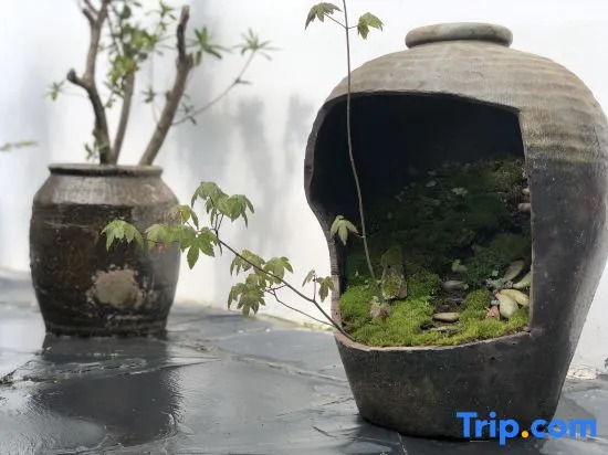 Ruoshanbei Homestay