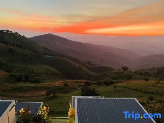 SkyVille cafe&homestay